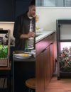 Click and Grow Vs. AeroGarden Smart Home Gardens: A Quick Glance at Click and Grow 25 and Farm 24XL and Other Models