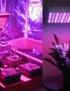 10 Best LED Grow Lights For Hydroponics: Phlizon Vs Bestva Vs Mars Hydro Vs Spider Farmer Vs Vivosun