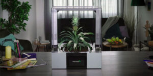 Plantee-smart-indoor-greenhouse