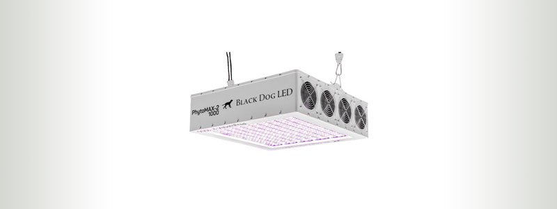 Black-Dog-LED-PhytoMAX-2-1000