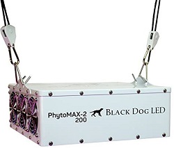 Black Dog LED PhytoMAX-2 200