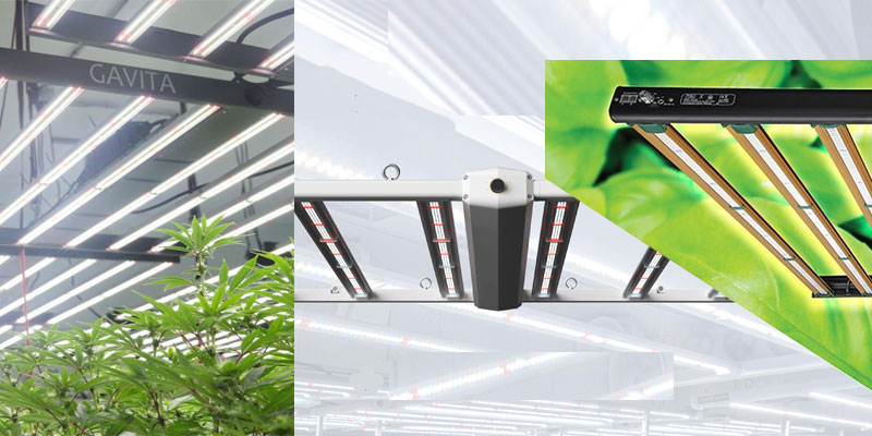 Gavita-Vs-Luxx-LED-Vs-Growers-Choice