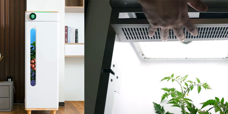 Abby-Smart-Automated-Grow-Box-for-Indoor-Gardening