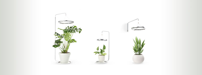 Altifarm-Cura-LED-Grow-light-for-Indoor-Plants