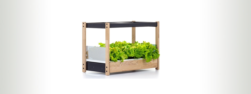 Click and Grow 25 Indoor Garden for Home Growing