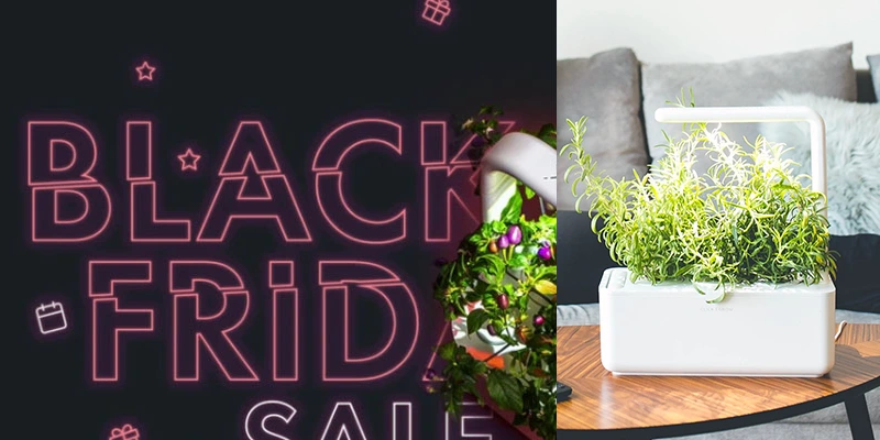 Click And Grow Black Friday Sale 2022