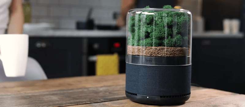 Briiv Plant Air Purifier With Moss